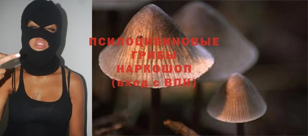 синтетический гашиш Арсеньев