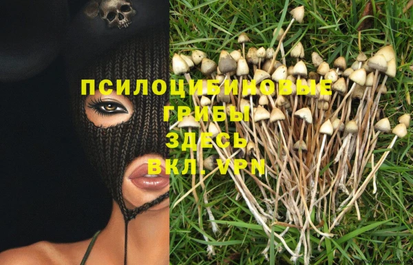 apvp Пересвет