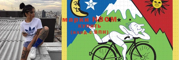 apvp Пересвет