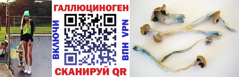 KRAKEN зеркало Бабушкин Псилоцибиновые грибы MAGIC MUSHROOMS